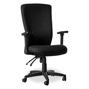 Spine Ergonomic High Back