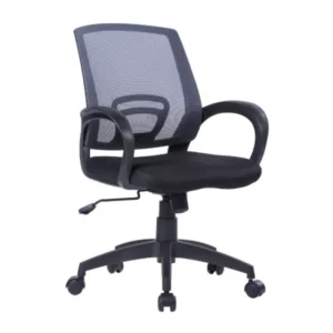 PX10 Back Ergonomic Chair